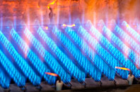 Borgie gas fired boilers